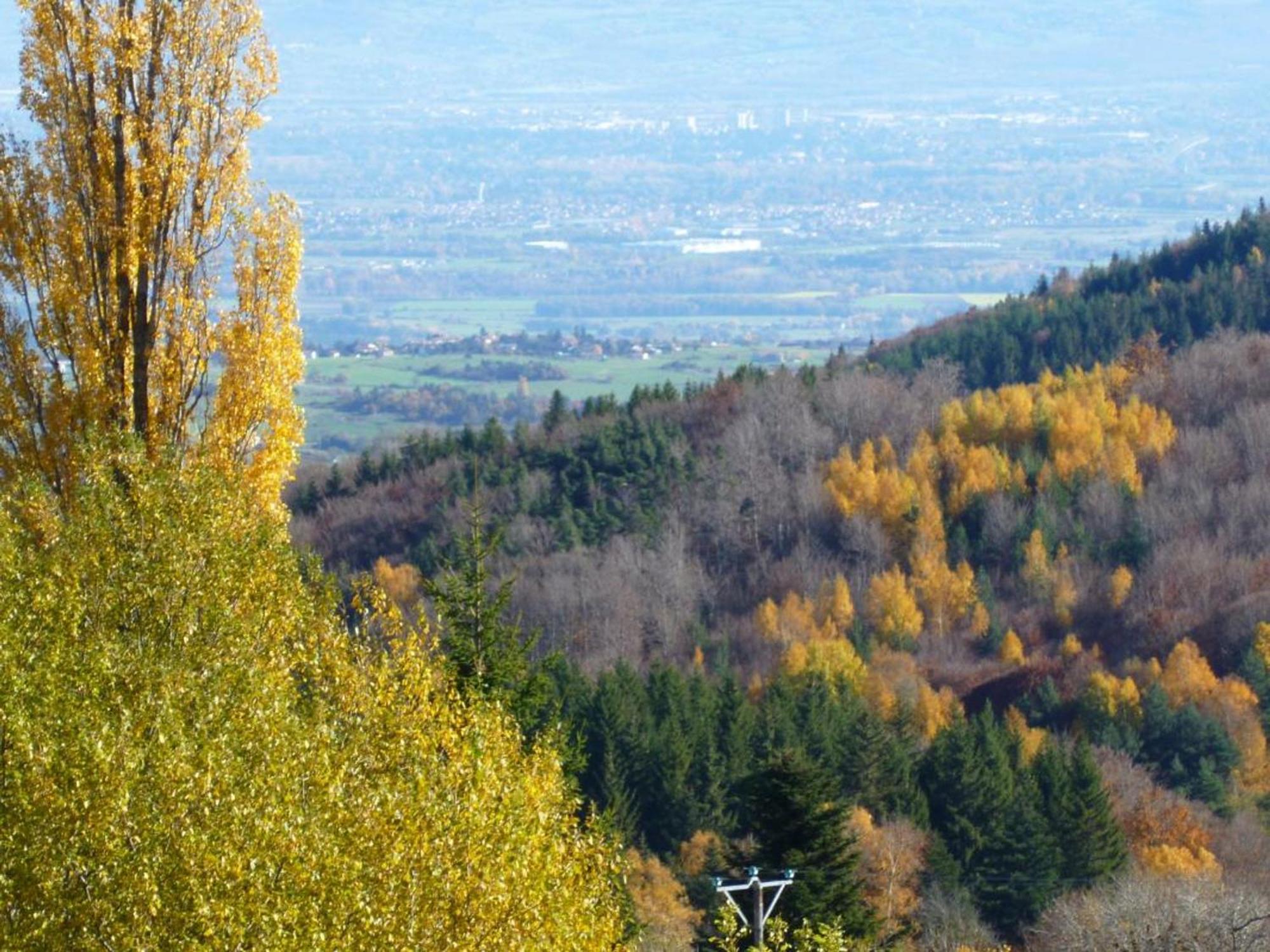 Charmant Gite Avec Terrasse, Cheminee Et Jardin, A Proximite Des Bois, Animaux Acceptes - Fr-1-496-205 Saint-Jean-Soleymieux Eksteriør billede
